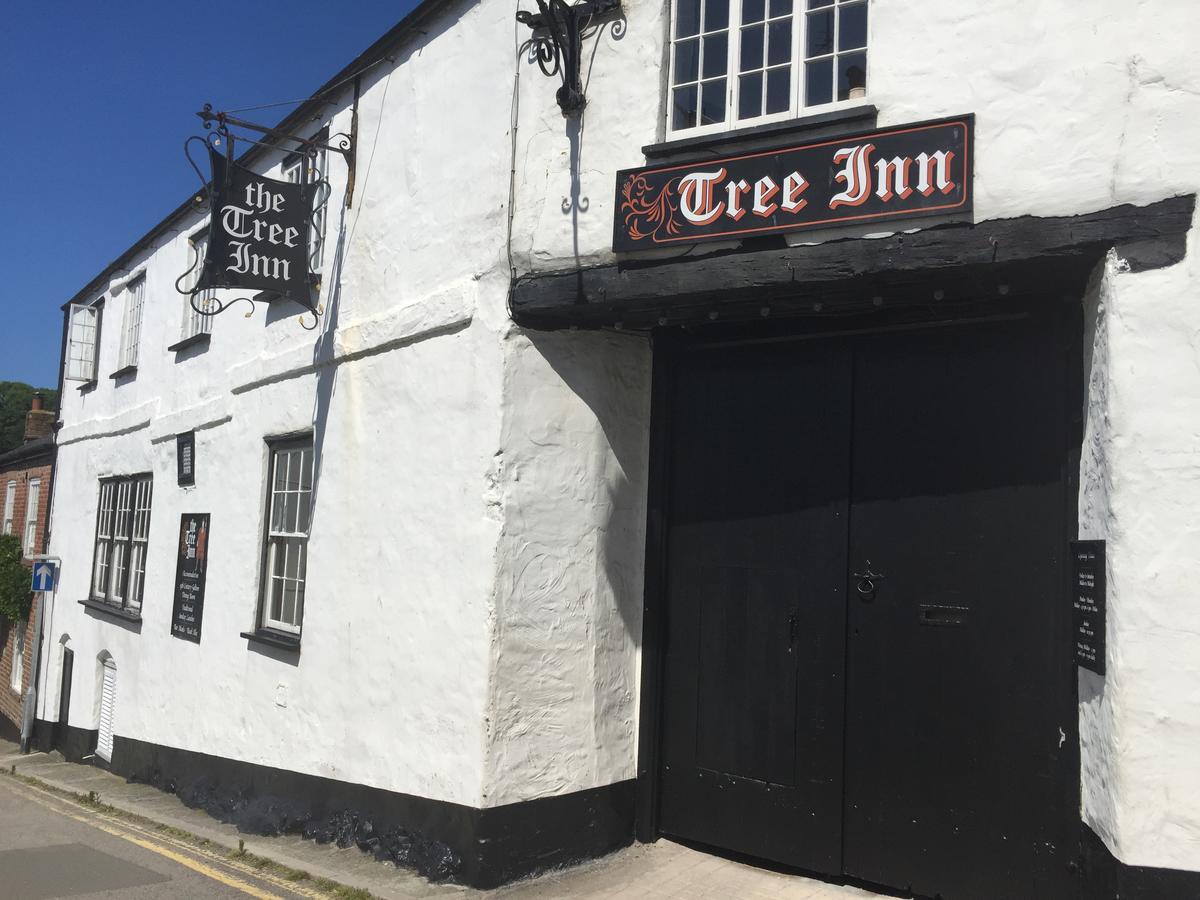 The Tree Inn 布德 外观 照片