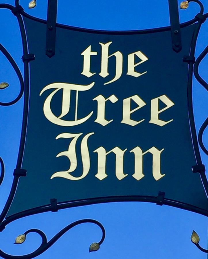 The Tree Inn 布德 外观 照片